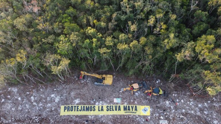 Greenpeace México toma maquinarias que trabajan en el tramo 5 del Tren Maya; exigen su cancelación