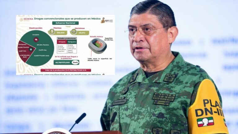Duro golpe al narco: 4T destruye más de 300 mil plantíos de amapola en lo que va del sexenio