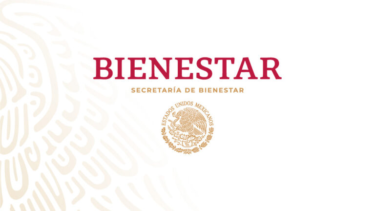 Mejora en su calidad de vida y oportunidades para estudiar: beneficiarios de programas del Bienestar agraden ayuda de AMLO