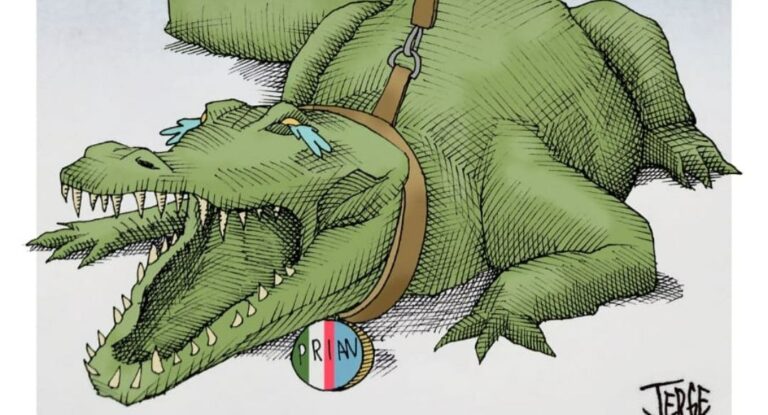 Cartón del día