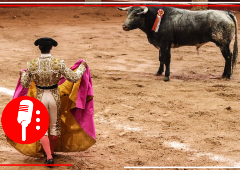 ¡Olé! Suspenden corridas de toros en la Ciudad de México