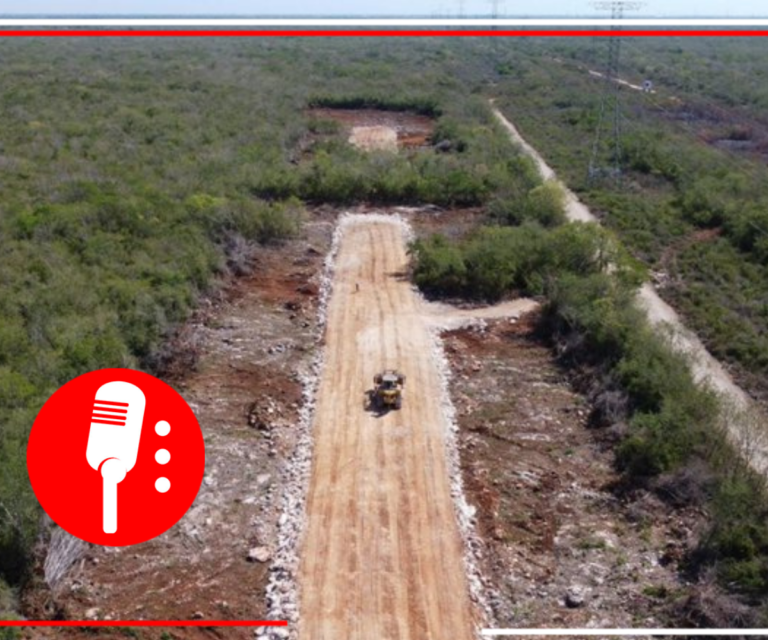 ¡Frena el Tren! Juez otorga suspensión en construcción del tramo 5