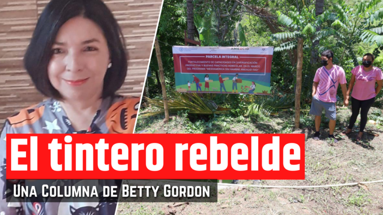 AMEXCID: El proyecto de AMLO contra el hambre en México y Centroamérica