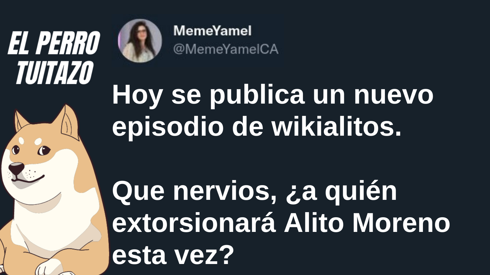 El perro tuitazo: todos a la espera de un nuevo e incriminador audio de Alito