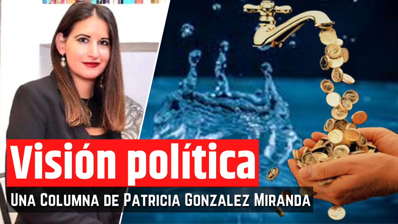¿EL AGUA YA ES UN RECURSO PRIVADO?