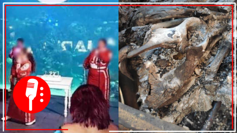 Procuraduría del Medio Ambiente de Veracruz toma control de Aquarium del Puerto; administración privada ocultó información sobre la muerte de un Manatí