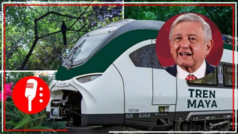 Amparos contra Tren Maya se resolverán por vías legales, como con el AIFA: AMLO