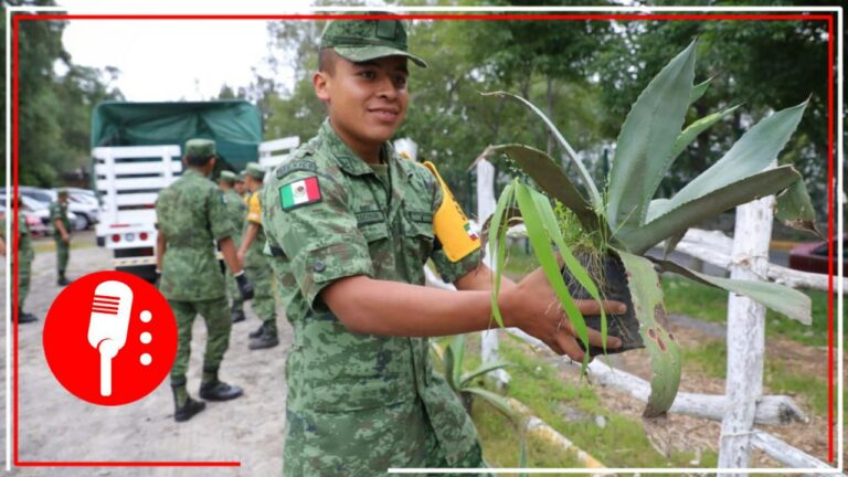 Ejército sembrará árboles a lo largo de mil 500 kilómetros de las vías del Tren Maya