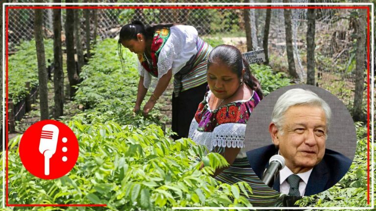99% de los beneficiarios de Sembrando Vida en Honduras, ya no consideran migrar