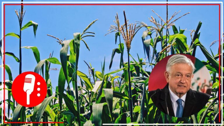 Presenta AMLO Jornadas de Producción para el Autoconsumo; participarán 14 mil agrónomos