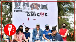 Tláhuac lanza campaña de esterilización gratuita para perros y gatos