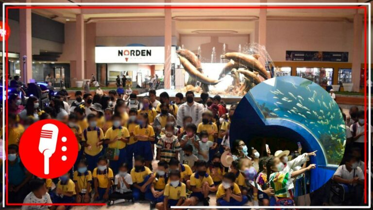 Aquarium de Veracruz reabre sus puertas bajo administración estatal; niños de diversas comunidades, los invitados principales