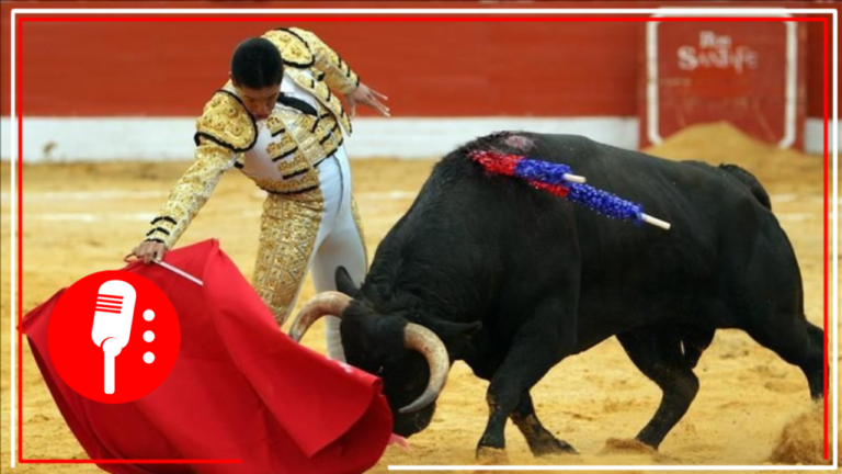 Juez ordena suspensión definitiva a espectáculos de toros