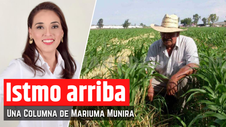 Subsidio a energéticos y fertilizantes nacionales: Estrategia de AMLO para la autosuficiencia alimentaria