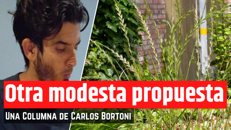 Sembremos cizaña