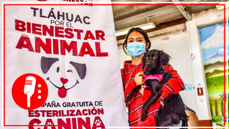 Tláhuac lleva su campaña gratuita de esterilización para perros y gatos a San Andrés Mixquic