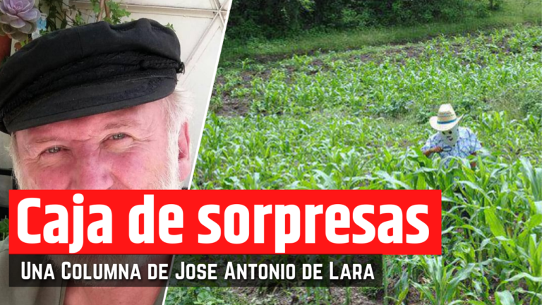 Llegando a la Milpa