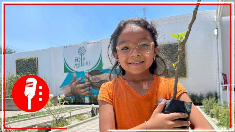 Adopta un árbol: Tláhuac presenta programa para el cuidado del medio ambiente