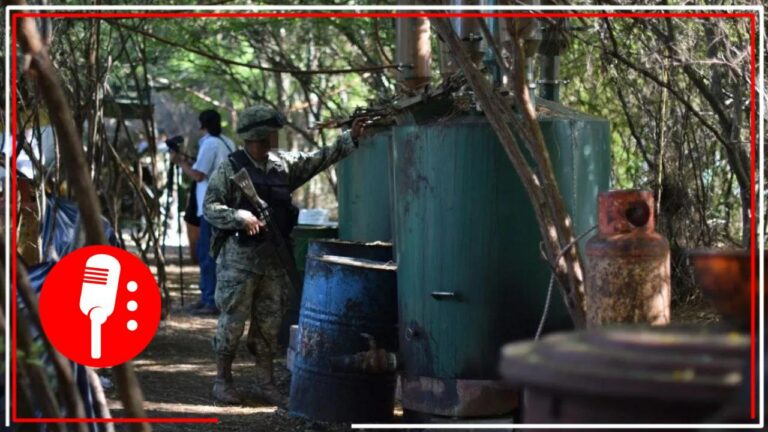 Estrategia de seguridad de la 4T da nuevos resultados: Sedena desmantela dos narcolaboratorios en Sinaloa