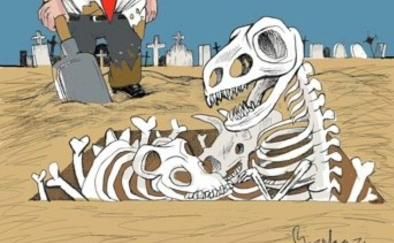 El Mejor Cartón del Día