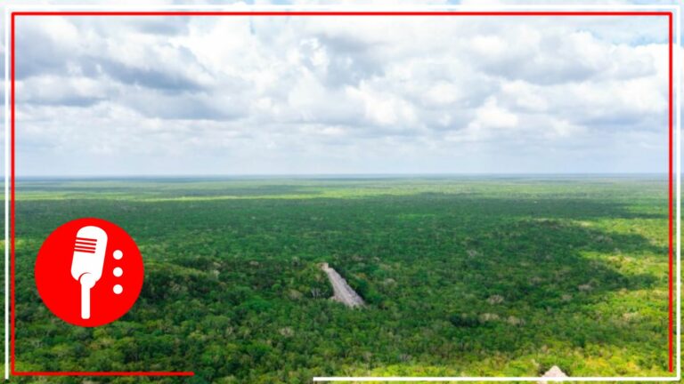 4T a favor del medio ambiente: Decreta AMLO área protegida al Parque del Jaguar en Tulum