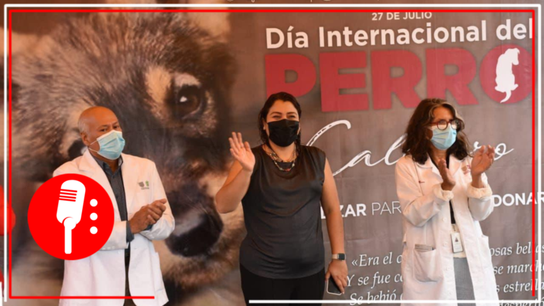 Tláhuac da inicio a mega jornada de servicios gratuitos para animales de compañía