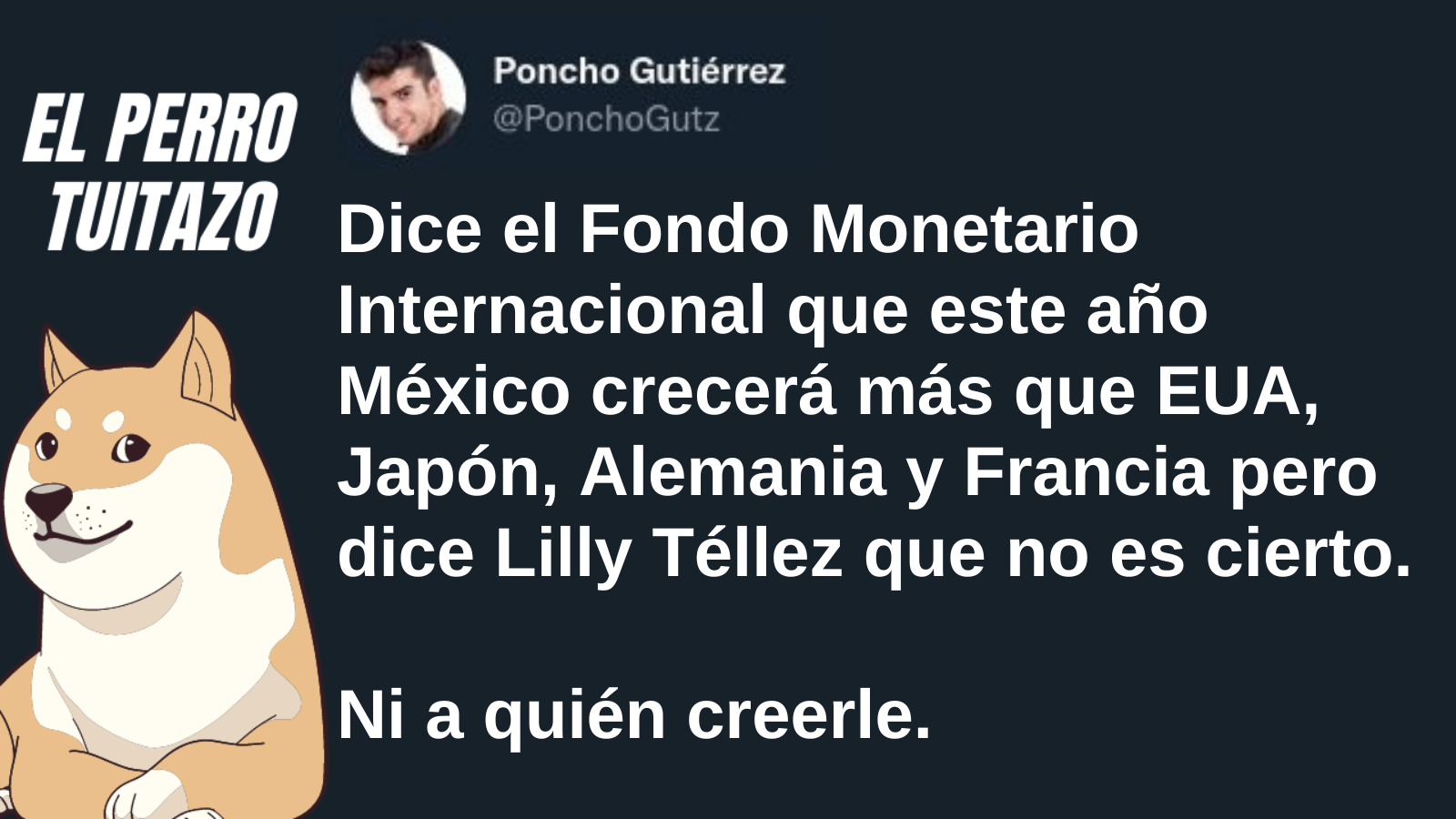 El Perro Tuitazo: Lilly Téllez “desmiente” al FMI