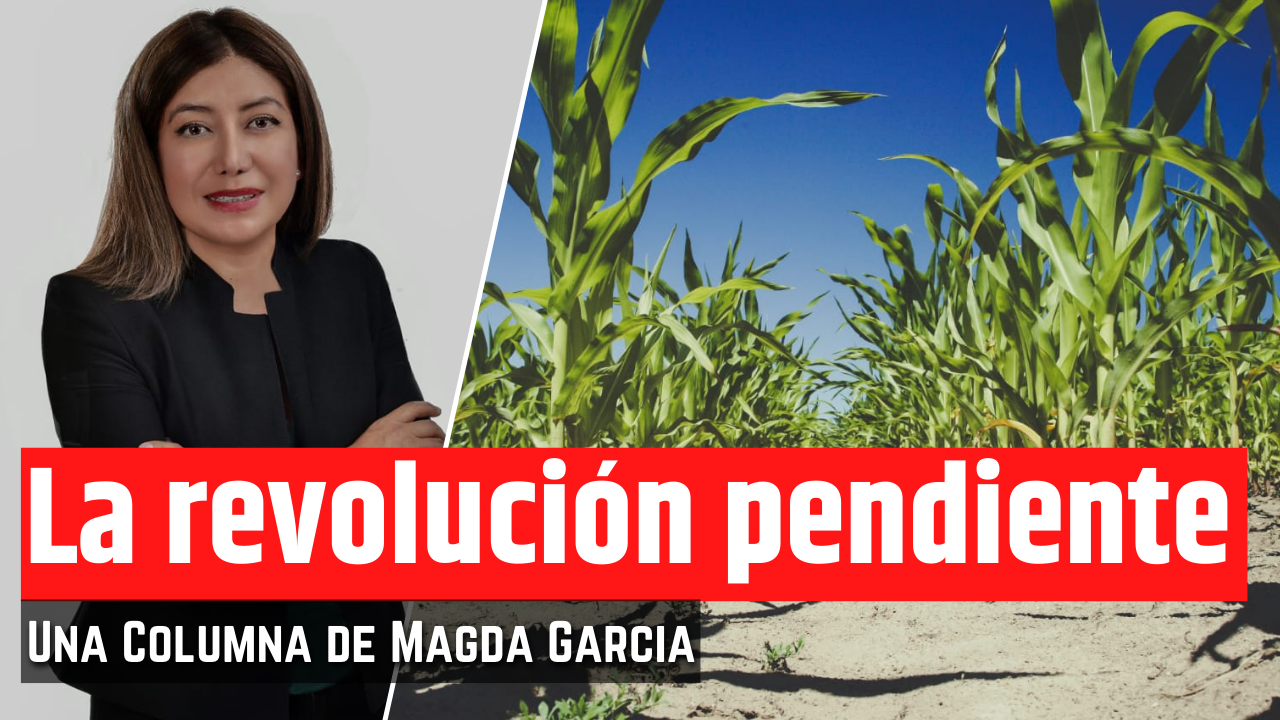 A favor de la seguridad alimentaria