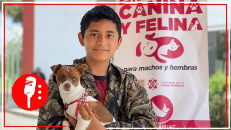 Continua jornada de esterilización canina y felina en Tláhuac