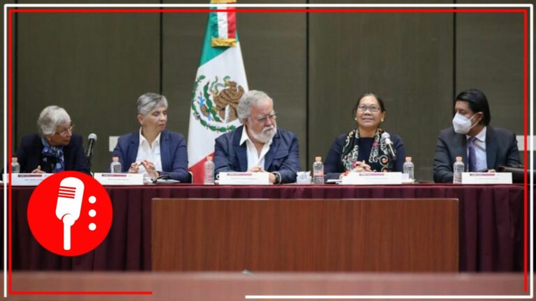 Llega a México la Relatora de la ONU sobre los derechos humanos de desplazados