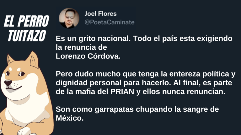 El Perro Tuitazo: Lorenzo Córdova no renunciará al INE por falta de dignidad