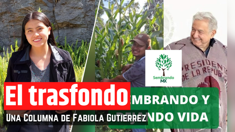 EL ÉXITO DETRÁS DE SEMBRANDO VIDA