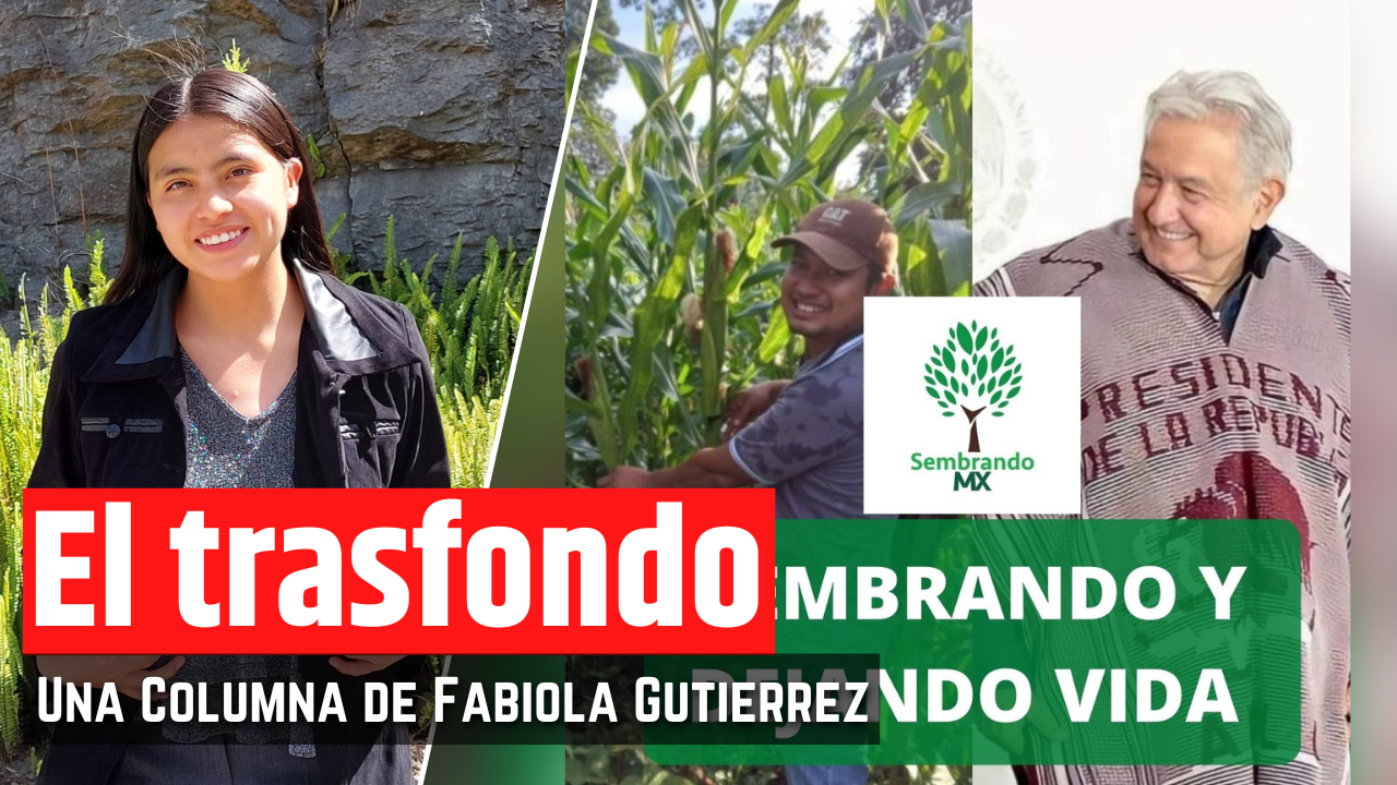EL ÉXITO DETRÁS DE SEMBRANDO VIDA