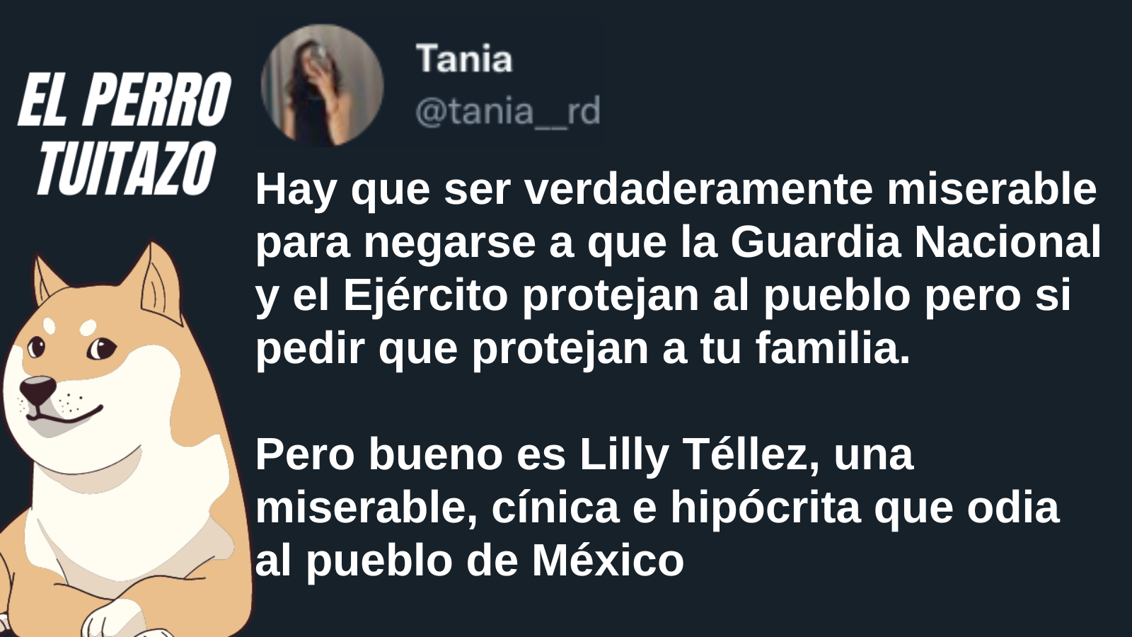 El Perro Tuitazo: Lilly Téllez odia al pueblo