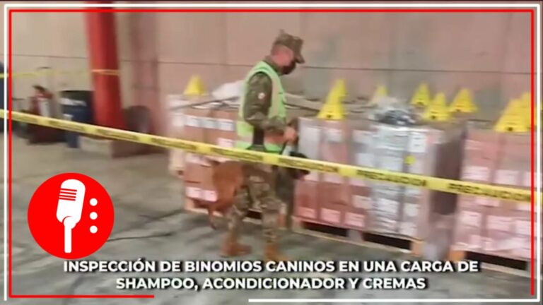 La Marina logra decomiso récord de metanfetamina en el Aeropuerto Internacional de la Ciudad de México