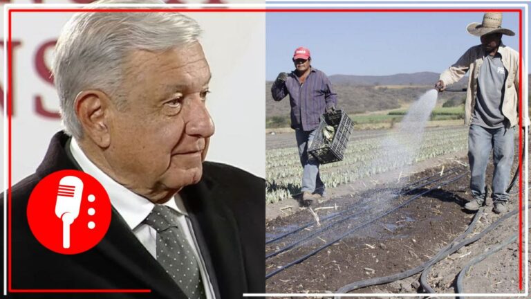 AMLO atenderá propuestas de campesinos veracruzanos que desean sembrar bambú y arroz