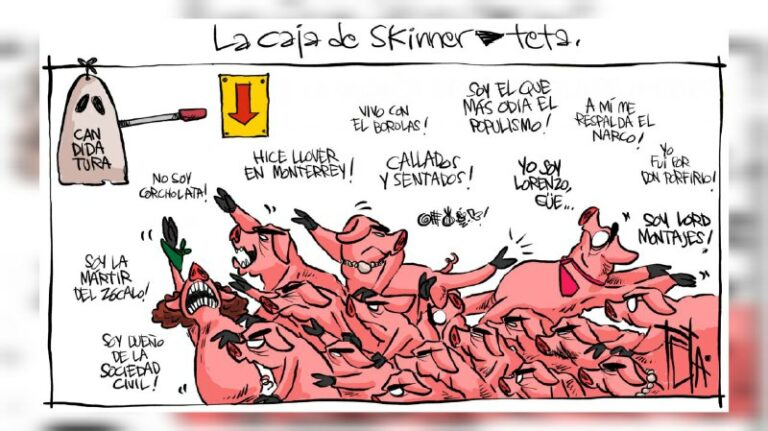 El Mejor Cartón del Día