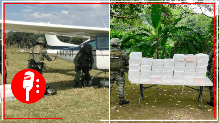 Sedena y FAM aseguran narco avionate con 340 kg de cocaína