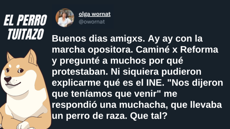 El Perro Tuitazo: No sabían explicar ni que era el INE