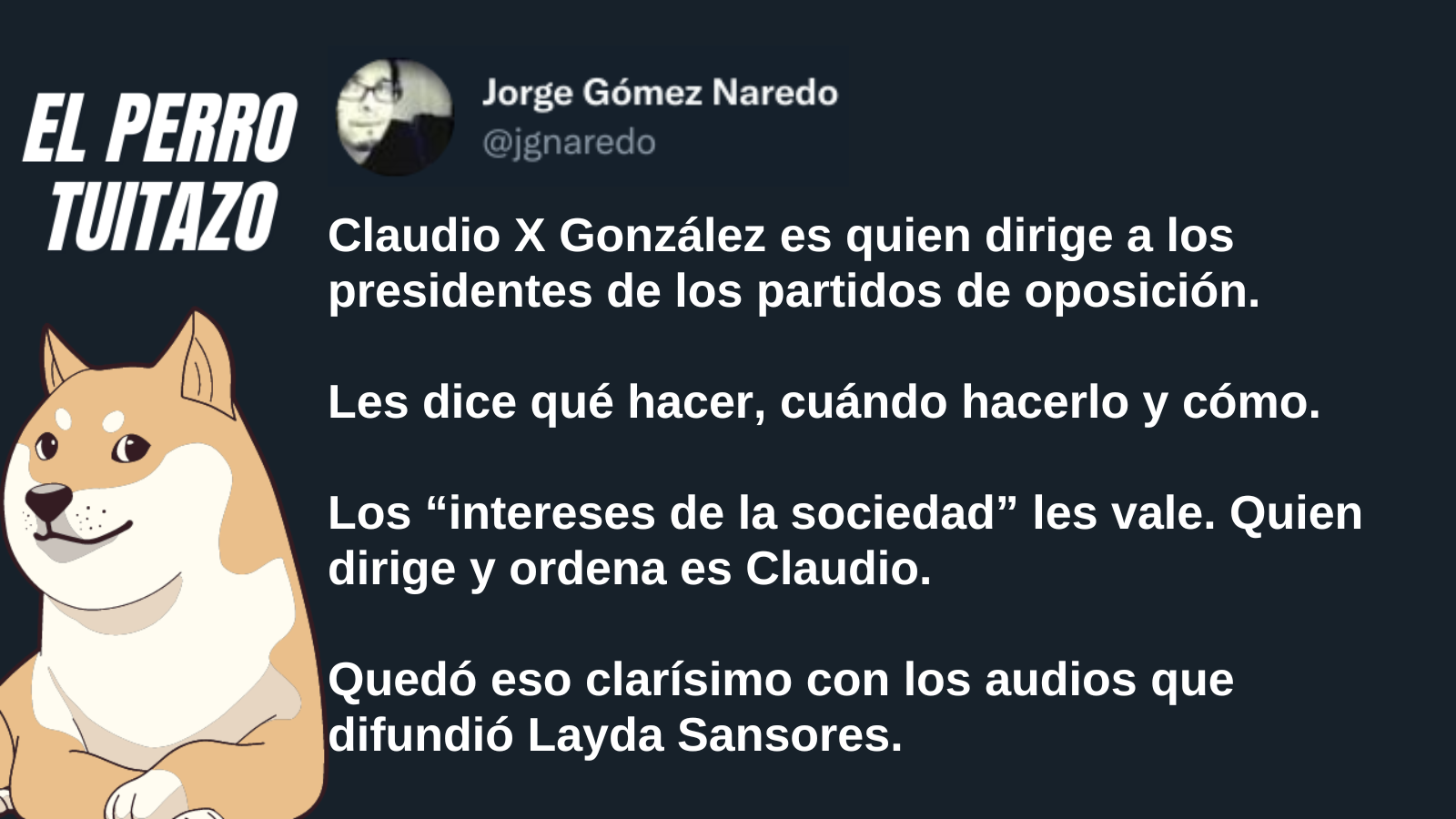 El Perro Tuitazo: el empresario X. González es quien dirige a la oposición