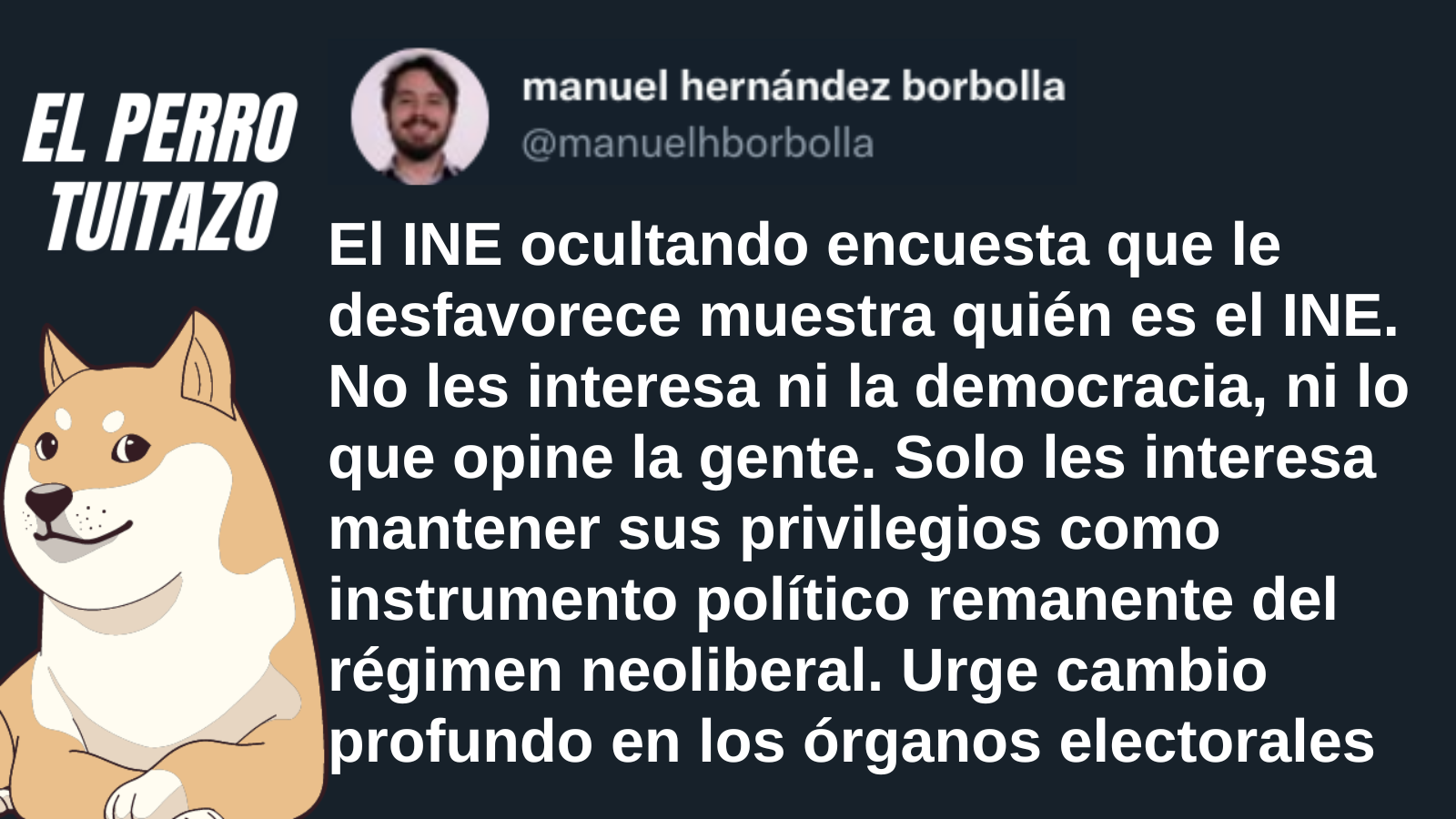 El Perro Tuitazo: Urge un cambio en los órganos electorales