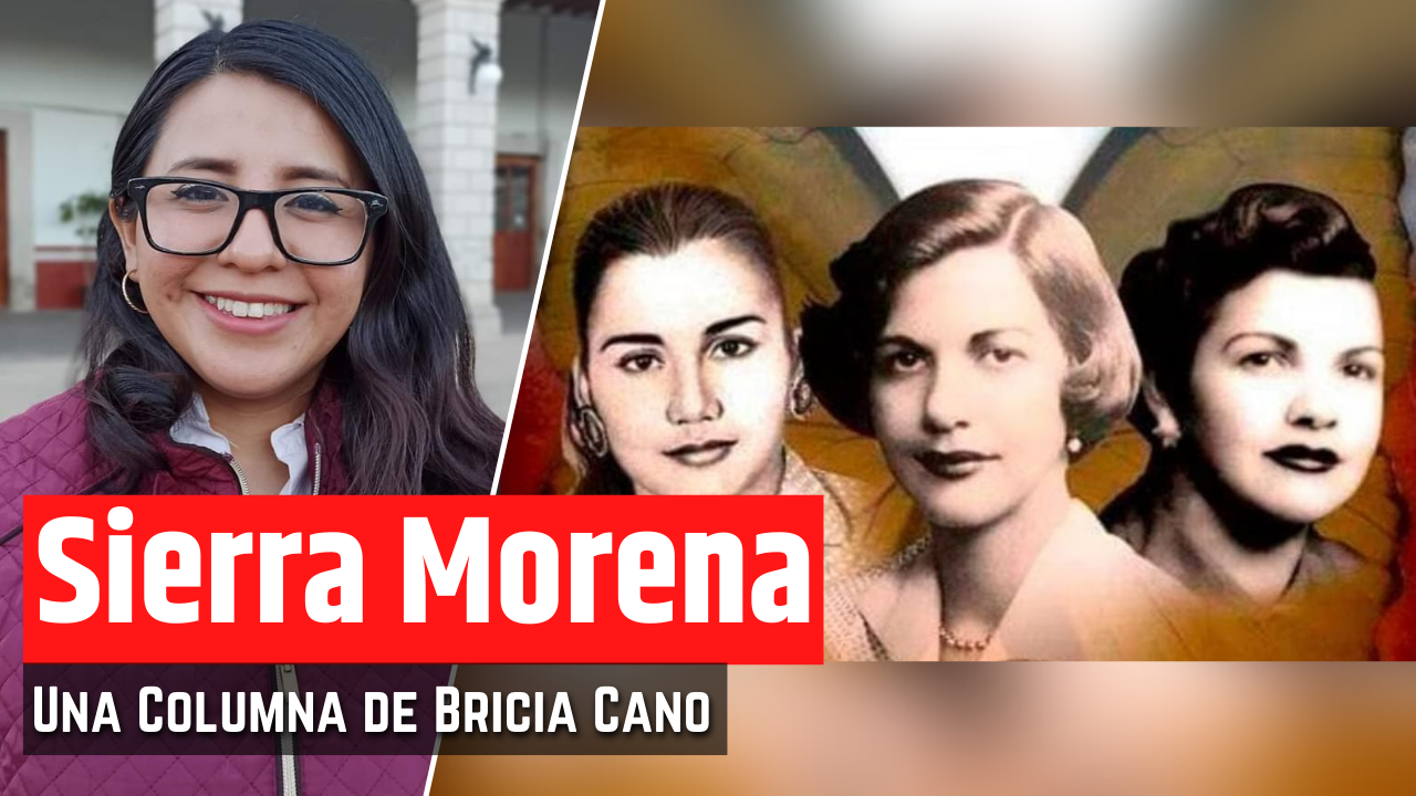 #DíaNaranja- Un día para recordar todos los días a las Mariposas