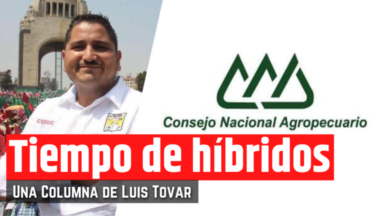 <strong>La falsedad del Consejo Nacional Agropecuario</strong>