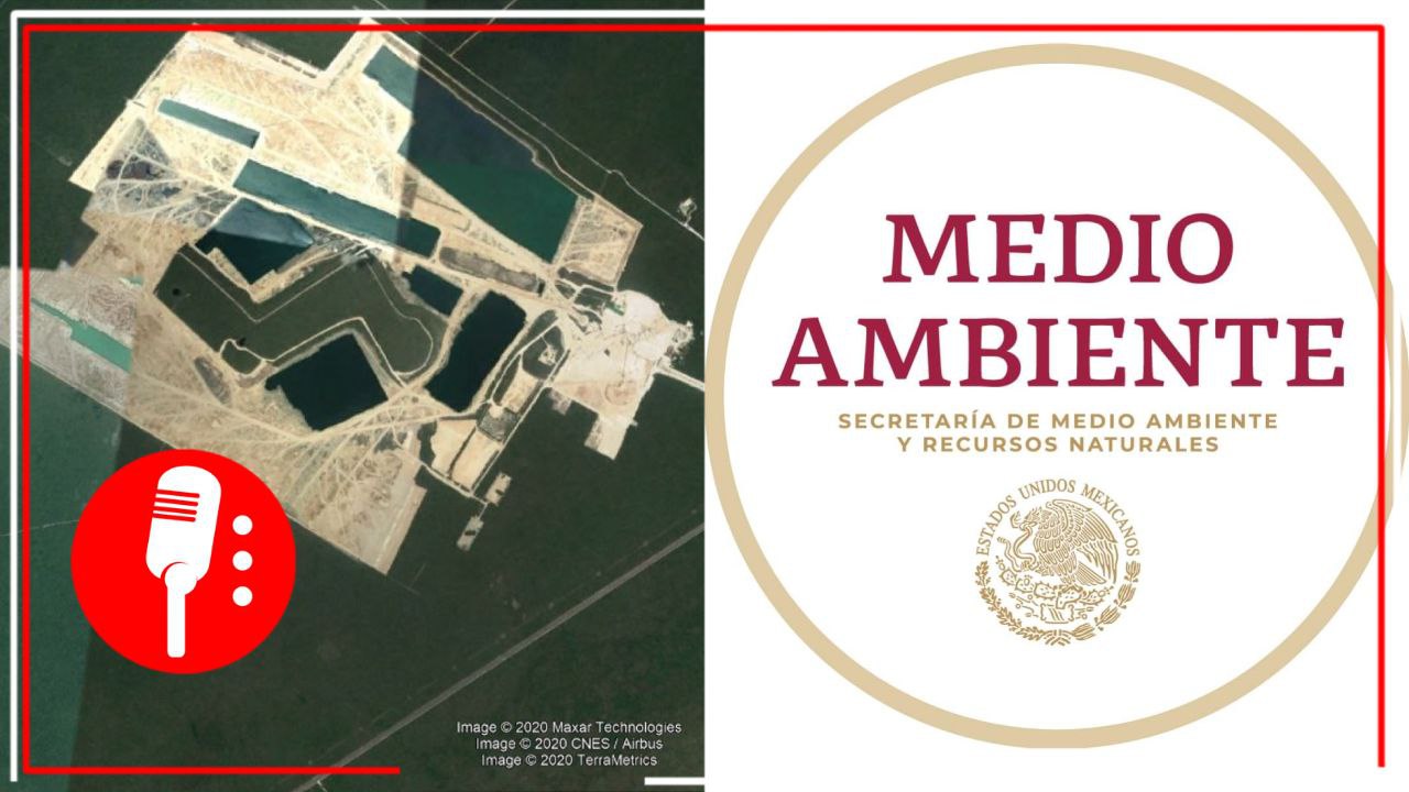 Consecuencias Ambientales que generó Calica en Quintana Roo ascienden a los 34 mil millones de pesos: Semarnat