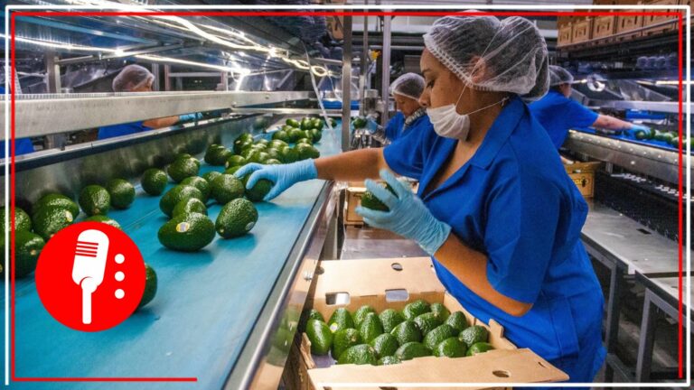 Exportaciones agroalimentarias rompen récord en periodo enero-octubre