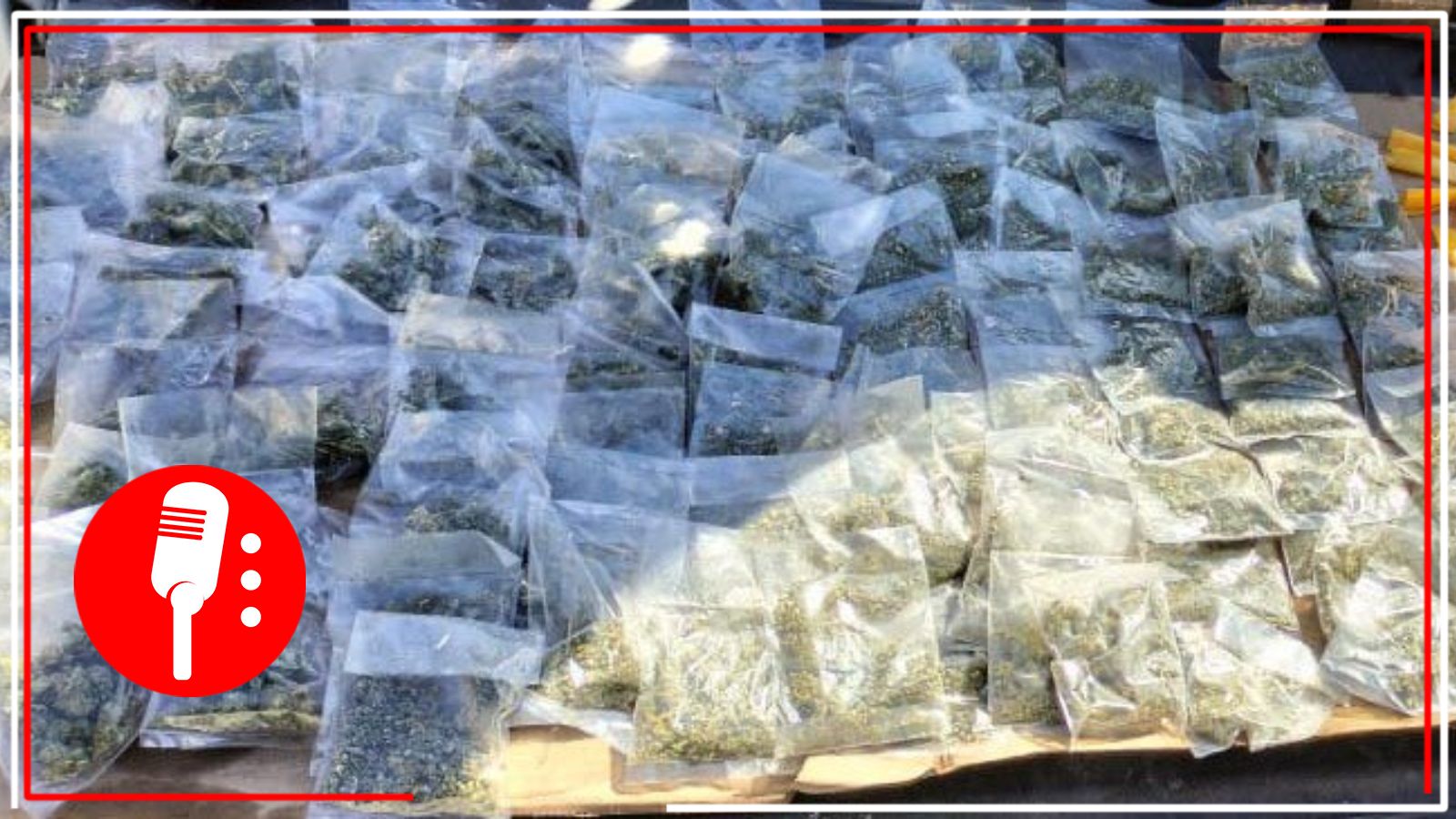 En cinco estados del país, Guardia Nacional aseguran 1300 dosis de aparente cristal y marihuana