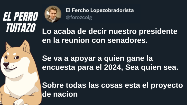 El Perro Tuitazo: Apoyar a quien gane la encuesta para el 2024
