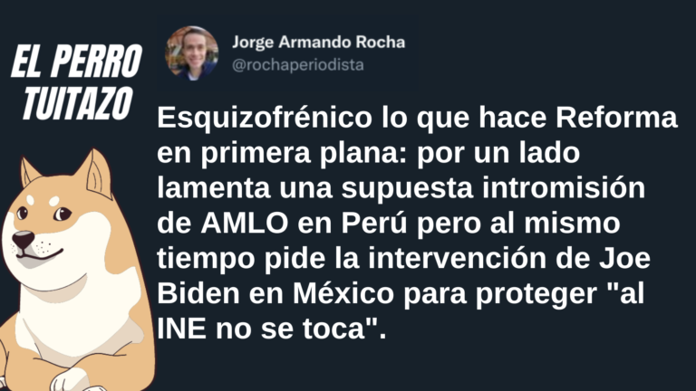 El Perro Tuitazo: Reforma el esquizofrénico diario anti 4T