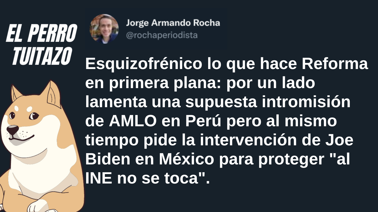 El Perro Tuitazo: Reforma el esquizofrénico diario anti 4T