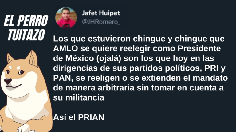 El Perro Tuitazo: la oposición en el fondo aprueba las reelecciones, pero solo en su caso
